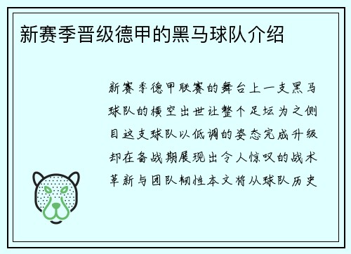 新赛季晋级德甲的黑马球队介绍