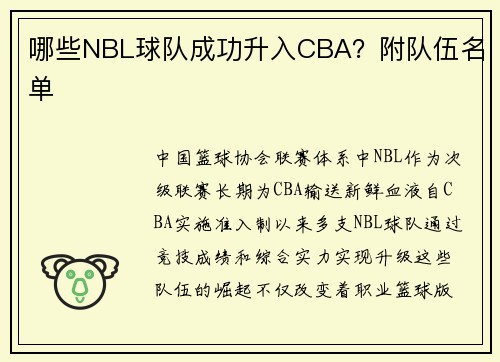 哪些NBL球队成功升入CBA？附队伍名单